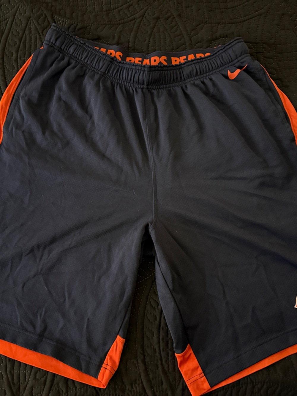 Nike Men's Chicago Bears Drifit Shorts
